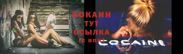 PSILOCYBIN Арсеньев