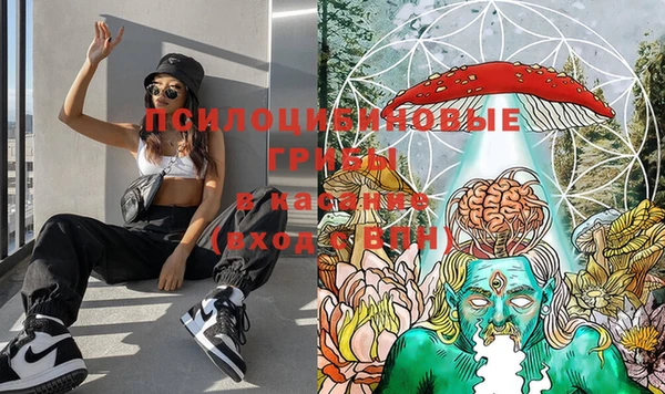 прущая мука Аркадак